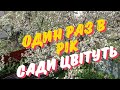 Один Раз в Рік Сади Цвітуть 