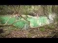 Weeki Wachee River Environmental Impact Quiz