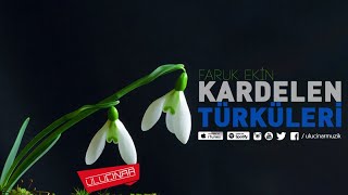 Faruk Ekin - Geceler