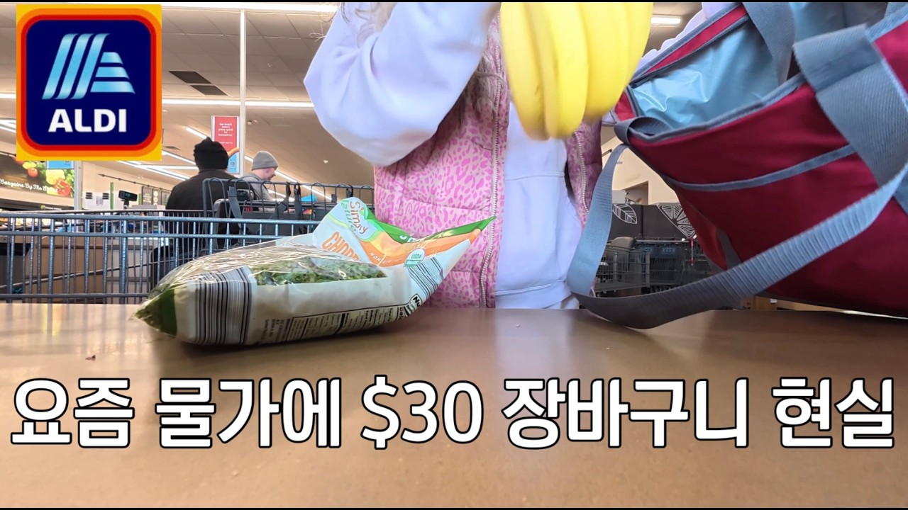 알디 장보고,푸드프로세서로 야채 채썰어서 불고기비빔밥  8개 후딱 만들기✌🏻