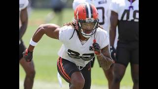Ronnie Hickman Provides Some Insight Into Mike Rutenberg's Browns Defense - Sports4CLE, 8/4/26