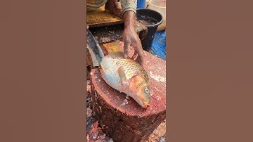 Unbelievable!! Crap Fish Cutting Skills You’ve Never Seen Before 😳 || #shorts #fishcutting_skills