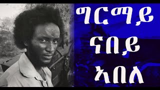 EMN - ግርማይ ናበይ ኣበለ Eritrean Media Network