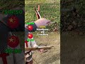 China HandGone vs CrossBow | Historical weapon Cost Per Shot Comparison