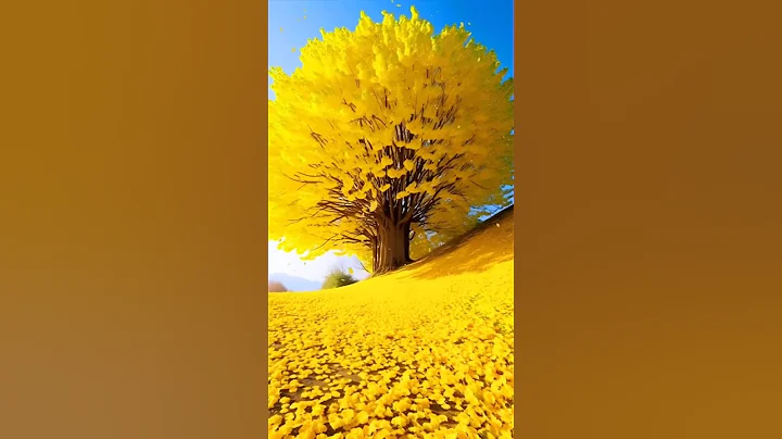 Most Beautiful Natural Vacation Spots (Travel Inspiration) #explore​ #adventure​ #nature​ #travel​ thumbnail