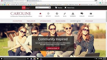 Web Savvy Marketing (Genesis Themes Review)