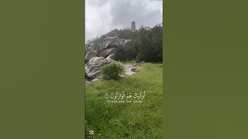 رجعت ورجعة قوية محمد اللحيدان سورة المؤمنون اية 9-11 #محمد-اللحيدان #قرآن