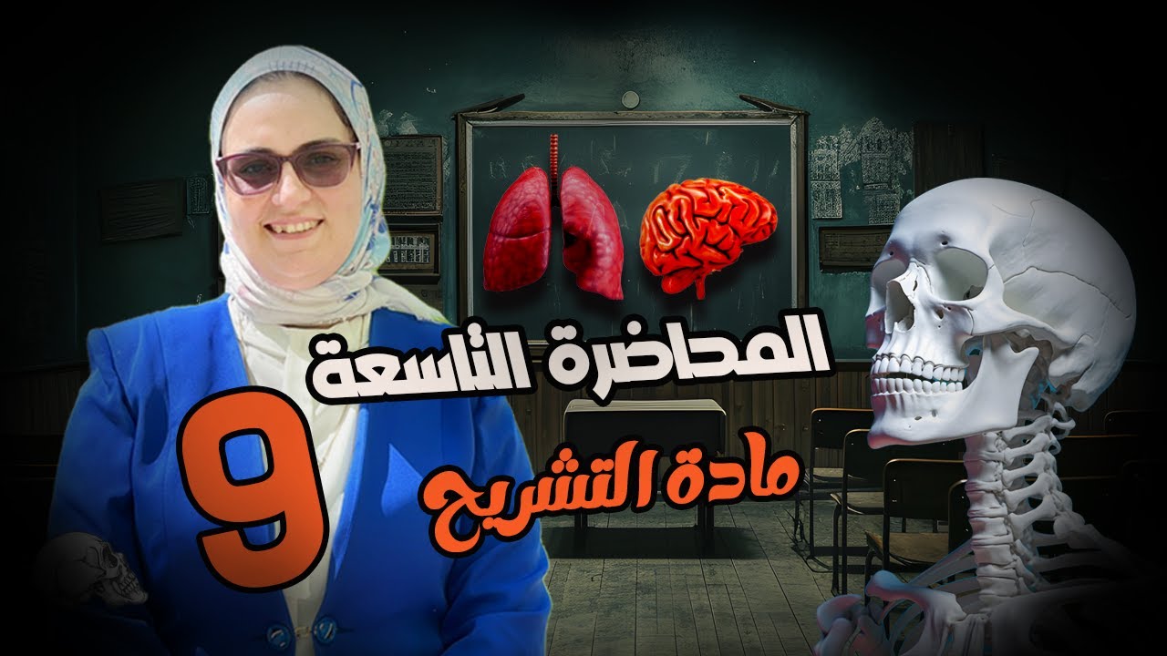 تشريح | The Urinary System (الجهاز البولي) شرح مبسط