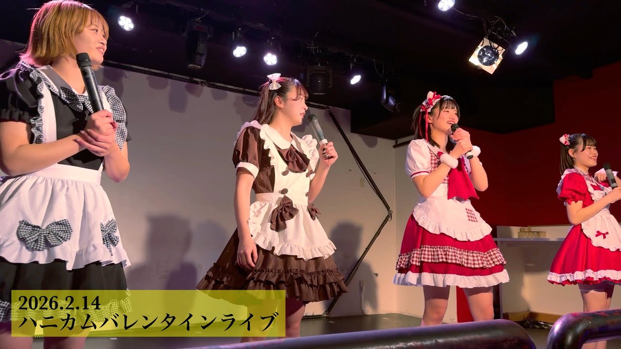 蜂蜜★皇帝｜2026.2.14🍫honeycomb Valentine live