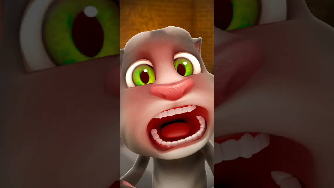 Talking Tom Cat New Video Best Funny Android GamePlay 