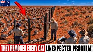 Full Australia Built a 44km Fence to Save Extinct Species — Now It Faces an UNEXPECTED Problem Update