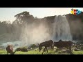 በጅምር የቀረው የጣና ግድብ ፕሮጀክት: Ahadu TV | ETHIOPIA