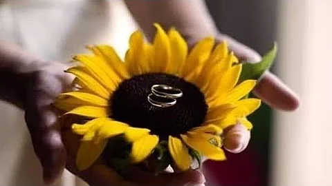 sunflower wedding theme | sunflower themed wedding | sunflower themed decorations ideas