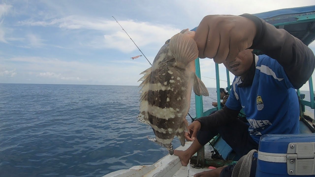 Mancing Ikan Kurisi / Ngerisi Perdana Ditahun 2025