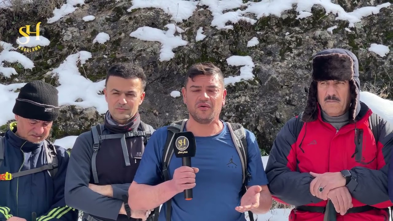 گرووپی شاخەوانی شەقڵاوە