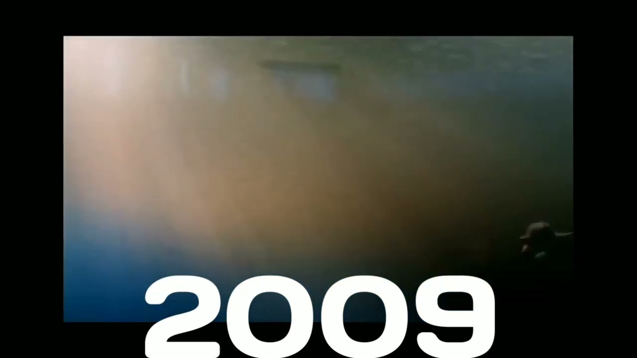 Tuarangisaurus of evolution 2003-2022