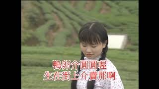 山歌猜(合)-KTV0438