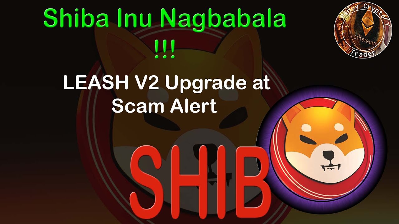 Shiba Inu Nagbabala! LEASH V2 Upgrade at Scam Alert - YouTube