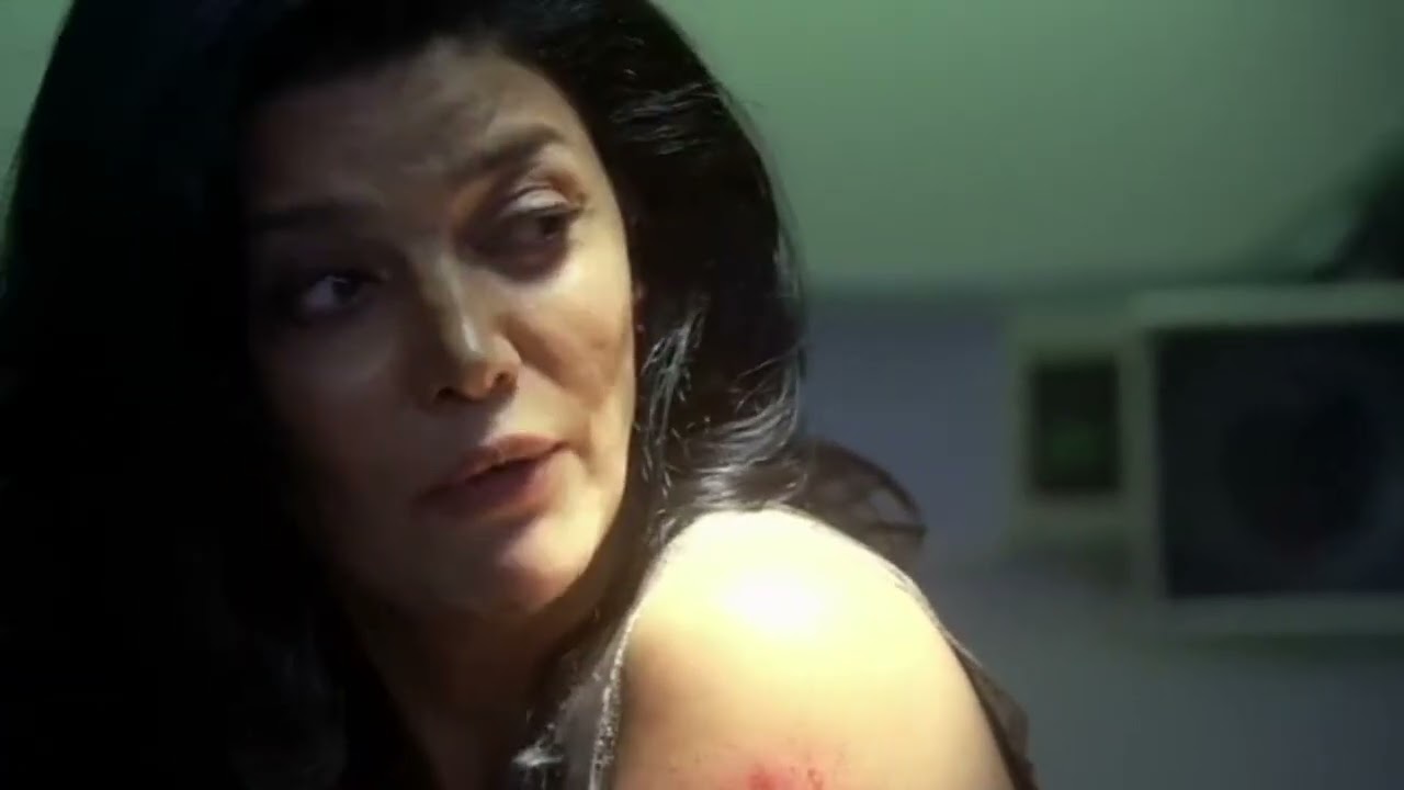 24 (2001–2010) Day 4: 2:00 p.m.-3:00 p.m. Behrooz and Dina want to leave the country