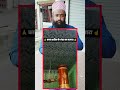 माशा अल्लाह आप लोग काबा शरीफ़ के अंदर का नज़ारा देखें #jabirraza #shorts