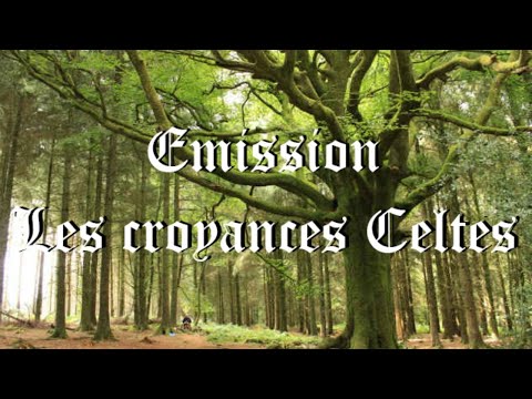 Vidéo: Religion Et Culte Des Celtes - Vue Alternative