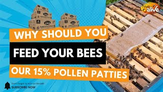 Why Beekeepers Should Feed Hivealive 15% High Performance Pollen Patties In Spring And Fall