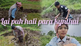 Lai puh hali shibei shi khon