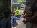 【突然變戀綜】動物園上演《換乘戀愛》和「猩」女友牽手卻秒被甩｜紅毛猩猩｜女友｜情侶｜搞笑