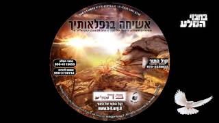 - אכילה רוחנית - מפי הגה"צ הרב דב הכהן קוק שליט"א בהוצאת 'בחגוי הסלע'.