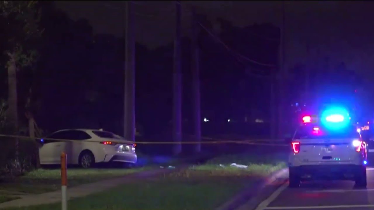 ‘Vehicle crash with shots fired:’ 18-year-old woman dies in Orange County incident