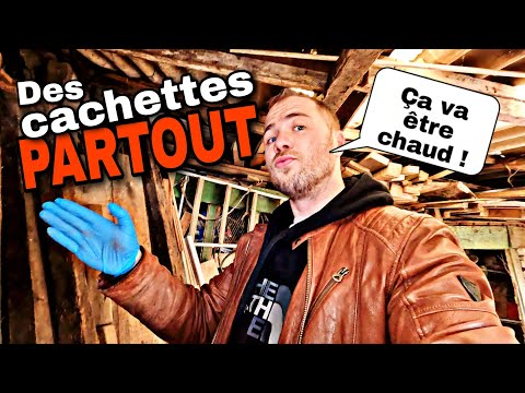 Rats entre deux jardins : je piège dans un poulailler