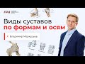 Виды суставов по формам и осям | Владимир Меркурьев (FPA)