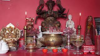 The Unseen Consequence of Diaspora Draft