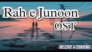𝗠𝘂𝗷𝗵𝗲 𝗜𝘀𝗵𝗾 𝗛𝘂𝗮 LOFI MOUSIC- Rah e Junoon [Danish Taimoor -Komal Meer ]Singer:Wajhi Farooki HUM TV GE