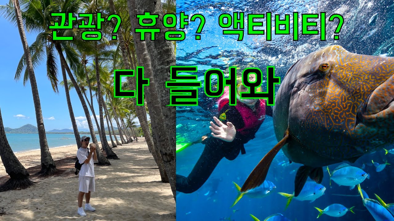 케언즈에서 이거는 해야 하지 않을까 ? 케언즈(2)/ 🇦🇺호주 워홀 📍그레이트 배리어 리프 📍팜 코브