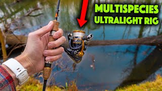 All Ultralight Anglers NEED To Use This Rig!