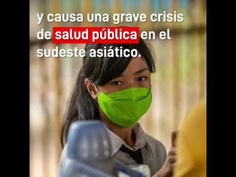 El aceite de