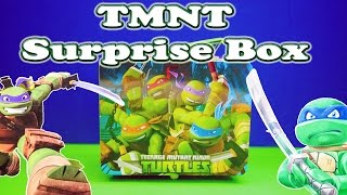 Opening TEENAGE MUTANT NINJA TURTLEs  Surprise Lunch Box