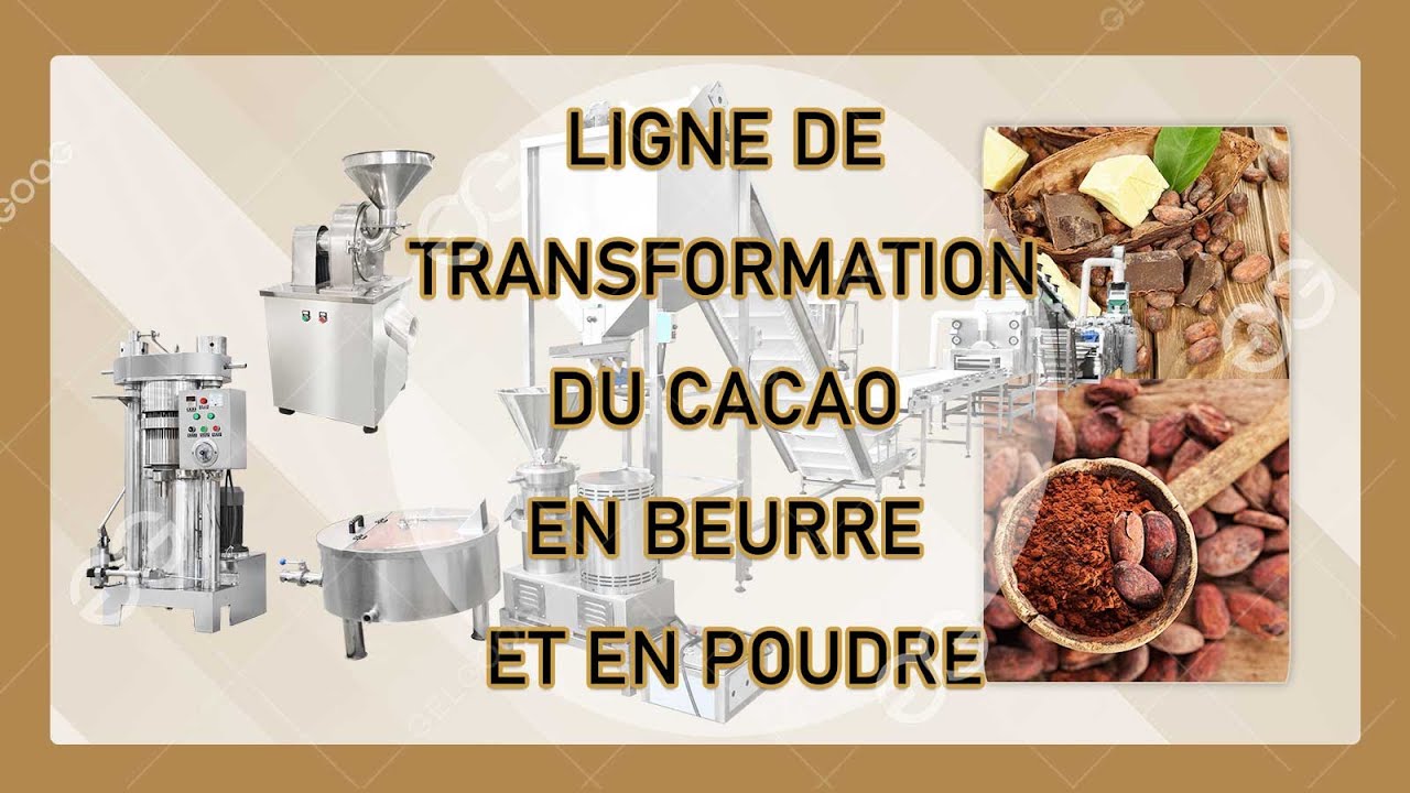 Comment Fabriquer De La Poudre De Cacao Dans Une Usine De