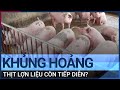 Toạ đàm: Khủng hoảng thịt lợn liệu còn tiếp diễn? | VTC Tin mới