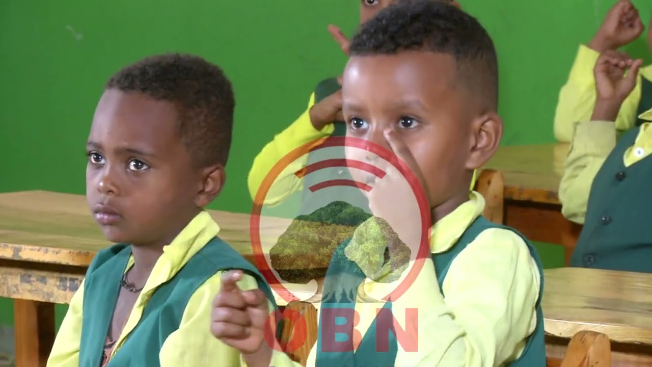 BARNOOTA SAAYINSII NAANNOO GULANTAA 3FFAA OBN GAAMMEE