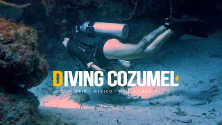 Diving in Cozumel  Palancar Reef and The Cenotes