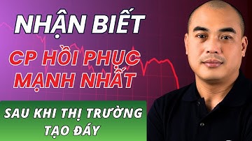 Bắt đáy cổ phiếu bài 10: Làm sao biết cổ phiếu nào sẽ HỒI PHỤC MẠNH NHẤT sau khi THỊ TRƯỜNG TẠO ĐÁY?