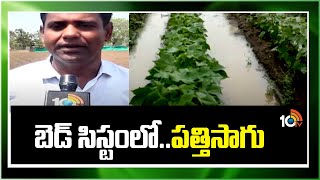 బెడ్ సిస్టంలో.. పత్తిసాగు | Cotton Cultivation In Bed System | Matti Manishi | 10TV