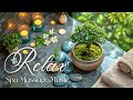 Spa massage music relaxation  relaxing music piano stress relief music meditation calming music