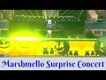 Marshmello concert in Fortnite World Cup *Insane*
