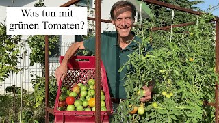 Was Tun Mit Unreifen Tomaten Tipps Zum Nachreifen, Lagern Und Verarbeiten