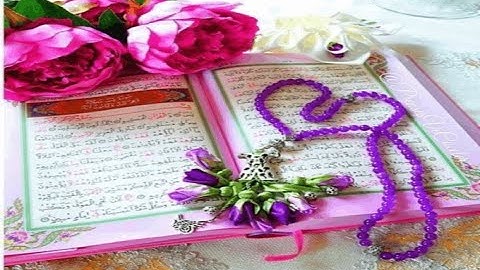 تلاوة خاشعة لا توصف تقشعر لها الأبدان بصوت الشيخ محمد عبد الكريم _ مزمار من مزامير داوود