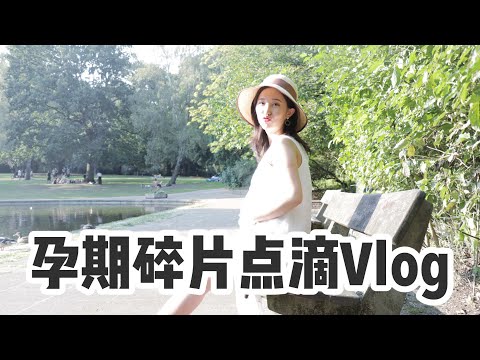 孕期碎片点滴Vlog; 写论文答辩和怀孕同时进行,德国孕期产检是怎样的?