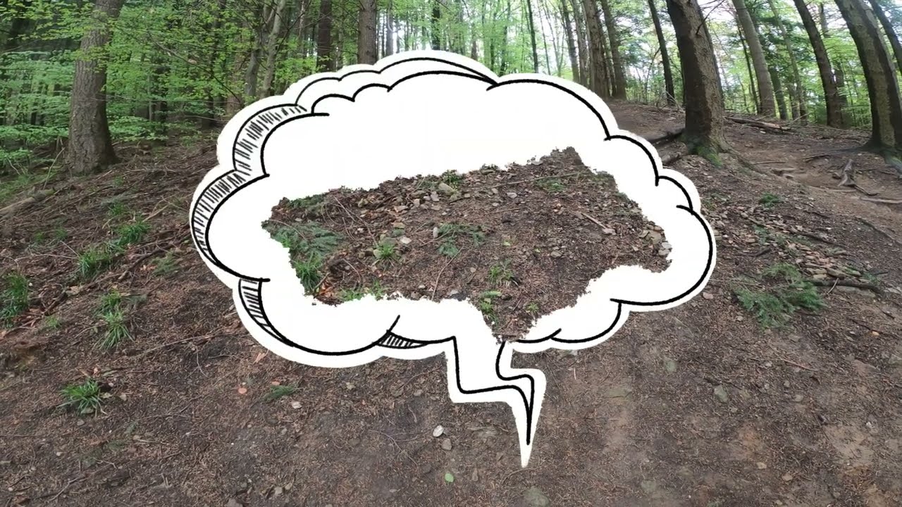 Borderline - Baden to the Bone